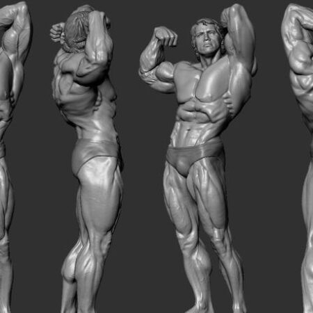 Arnold Schwarzenegger Pose STL FIles for 3D Printing Files
