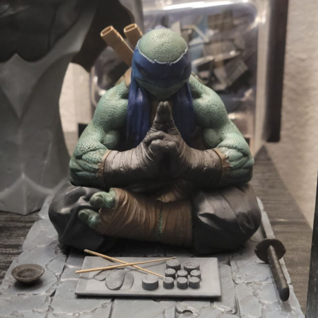 Leonardo Tmnt