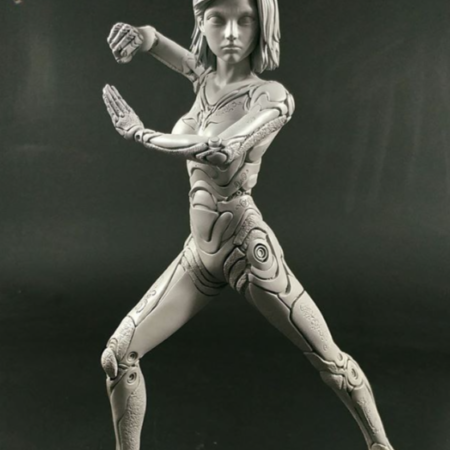 Alita 3d printing model