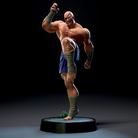 Sagat 3d printing stl files