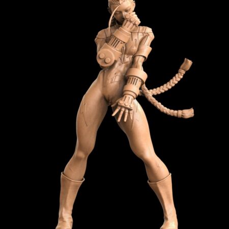 Cammy NSFW 3D Printing stl files