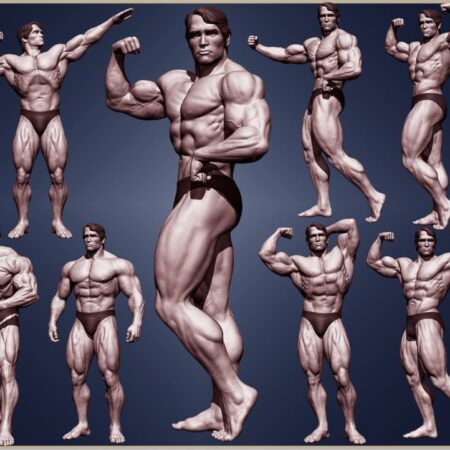 Arnold Schwarzenegger 3d printing stl files