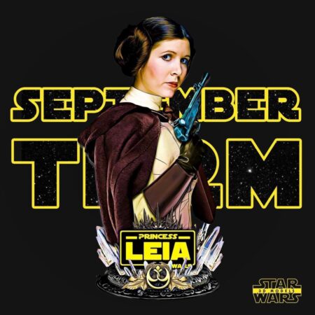 Leia bust 3d printing model